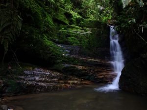 Read more about the article Amazing places to visit and stay near Bogotá