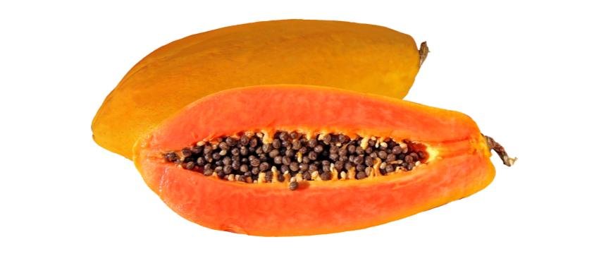Papaya fruit