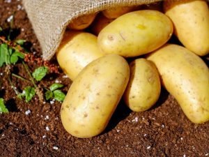 Read more about the article The tasty world of Colombian potatoes and its importance