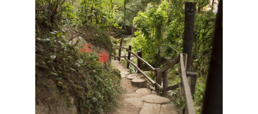 Quebrada La Vieja path