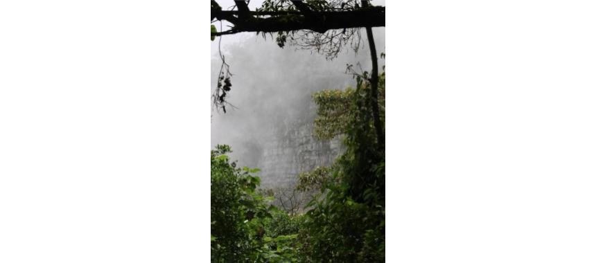 Fog at Chicaque